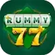 Rummy 77 icon
